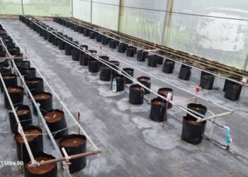 15 މިލިއަން ރުފިޔާގެ ގްރާންޓް ސްކީމެއް ދަނޑުވެރިންނަށް ޚާއްސަކޮށް ފަށަނީ