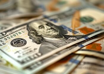 ދުނިޔޭގެ ހަލާލް އިންވެސްޓްމަންޓްއަށް ލިބެމުން އަންނަ ކުރިއެރުންް