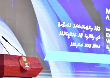 ވީއައިއޭގެ ބޮޑުތަސައްވުރު