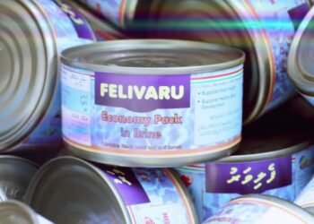 ހިލޭ ބަހާ މަސްދަޅުގެ ސައިޒަށް ބަދަލެއް ނާންނާނެ: މިފްކޯ