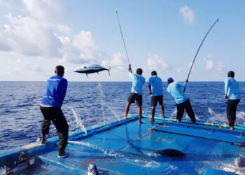 ޖެނުއަރީމަހު މަހުގެ އެކްސްޕޯޓު ދަށަށް