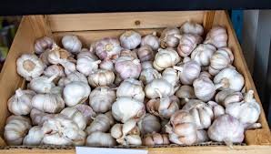 ލޮނުމެދު ކިލޯއެއް 45ރ. އަށް